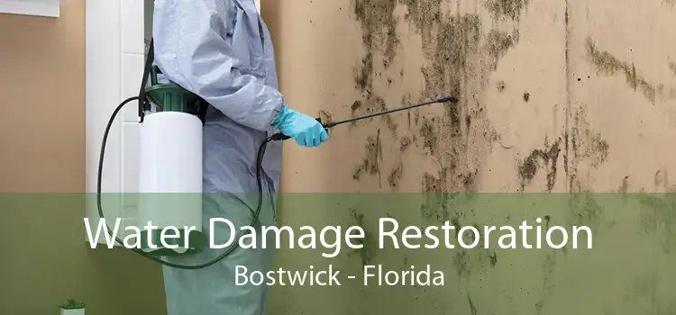 Water Damage Restoration Bostwick - Florida