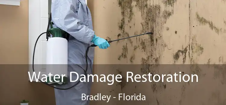 Water Damage Restoration Bradley - Florida