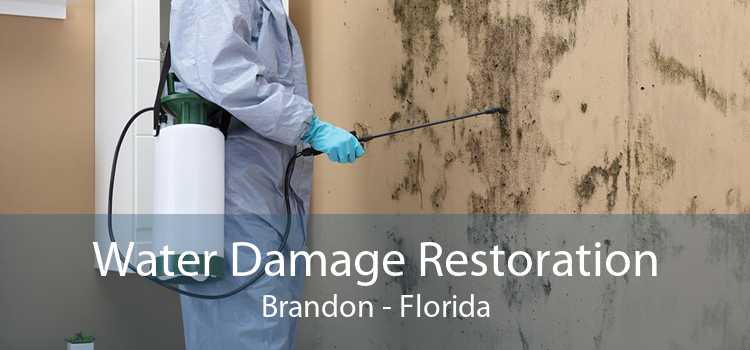 Water Damage Restoration Brandon - Florida