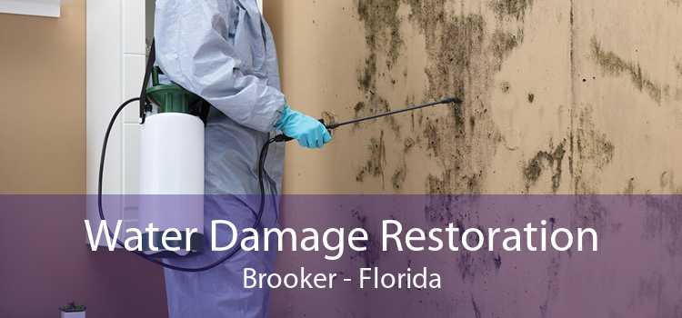 Water Damage Restoration Brooker - Florida