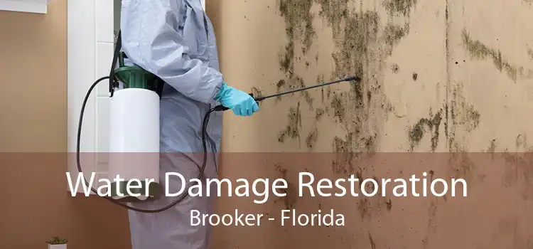 Water Damage Restoration Brooker - Florida