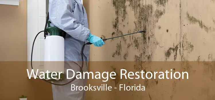 Water Damage Restoration Brooksville - Florida