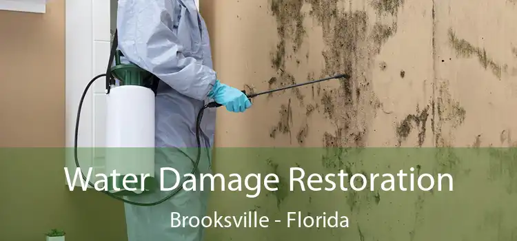 Water Damage Restoration Brooksville - Florida