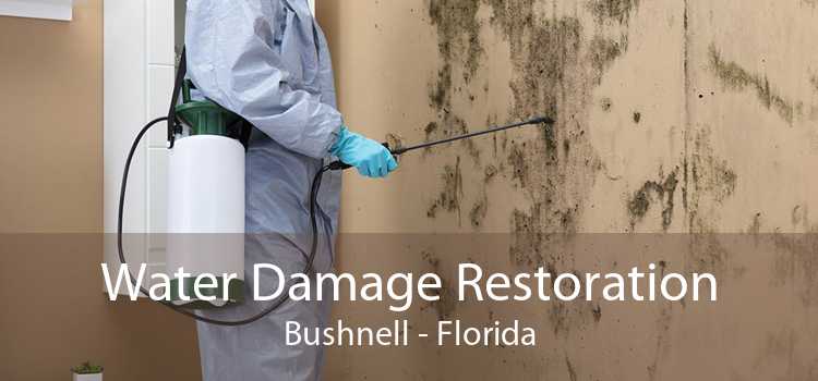 Water Damage Restoration Bushnell - Florida
