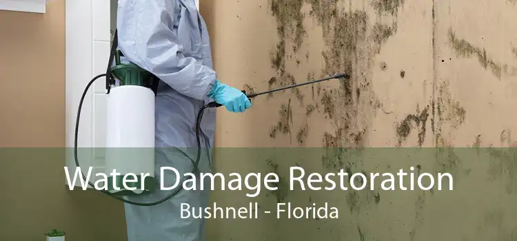 Water Damage Restoration Bushnell - Florida