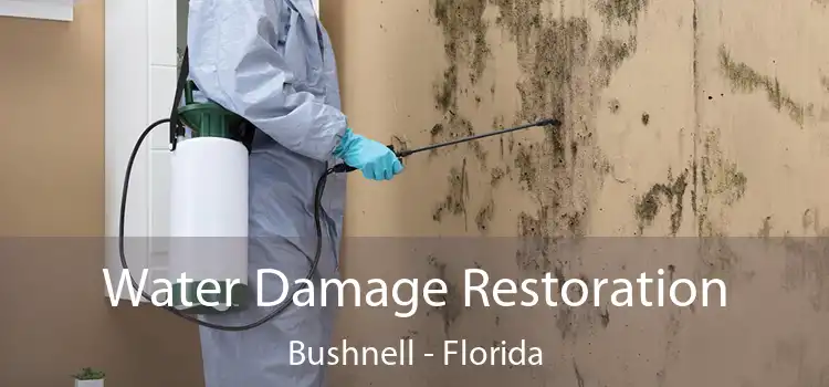 Water Damage Restoration Bushnell - Florida