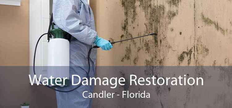 Water Damage Restoration Candler - Florida