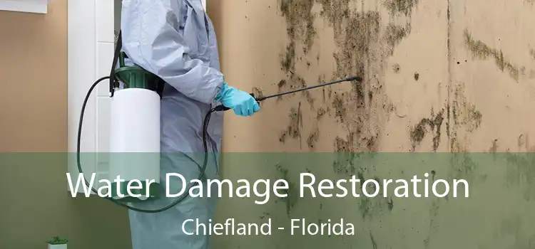 Water Damage Restoration Chiefland - Florida