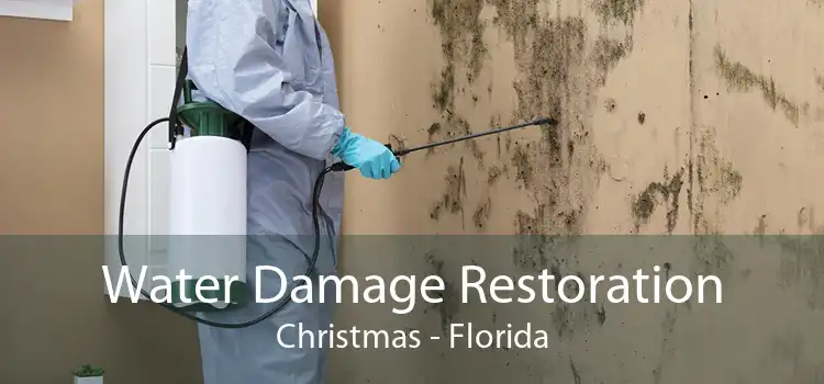 Water Damage Restoration Christmas - Florida