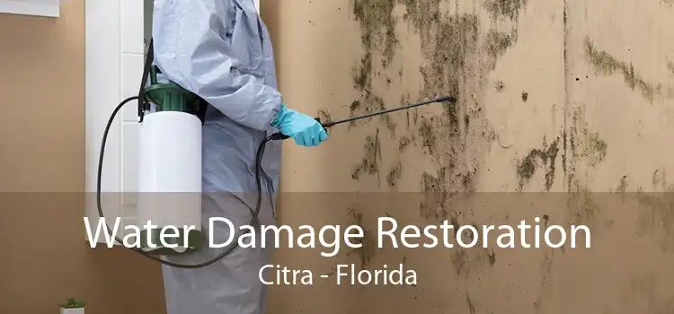 Water Damage Restoration Citra - Florida