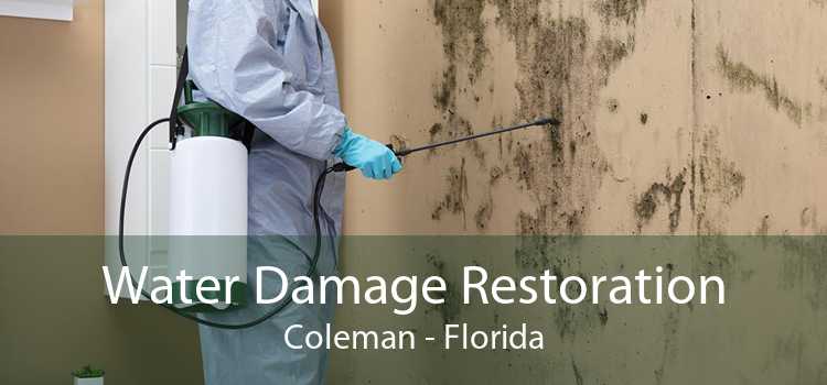 Water Damage Restoration Coleman - Florida
