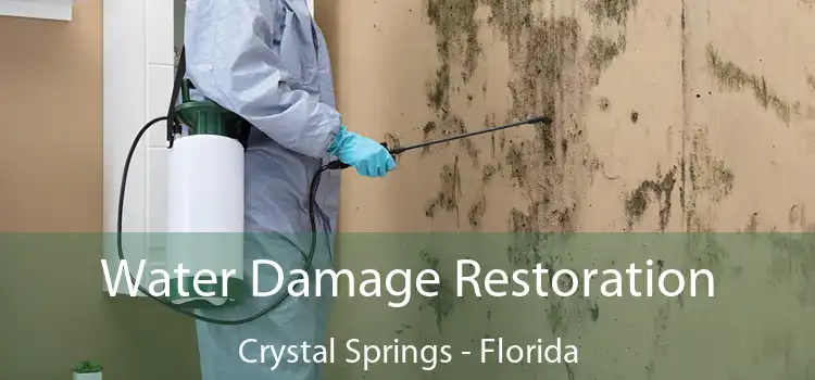 Water Damage Restoration Crystal Springs - Florida