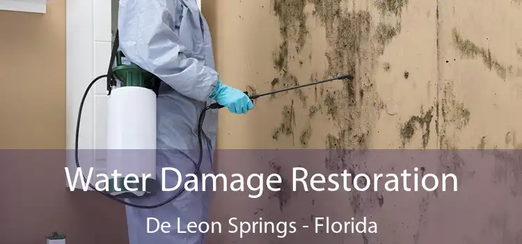 Water Damage Restoration De Leon Springs - Florida