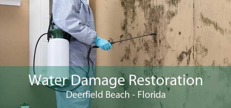 Water Damage Restoration Deerfield Beach - Florida