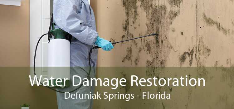 Water Damage Restoration Defuniak Springs - Florida