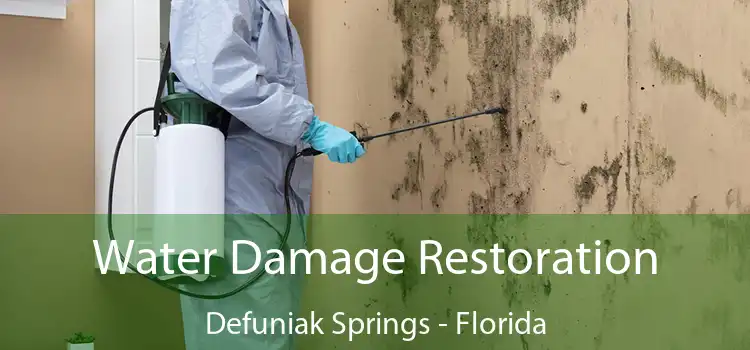 Water Damage Restoration Defuniak Springs - Florida