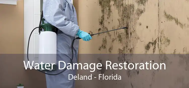 Water Damage Restoration Deland - Florida