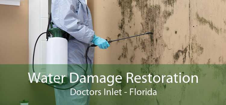 Water Damage Restoration Doctors Inlet - Florida