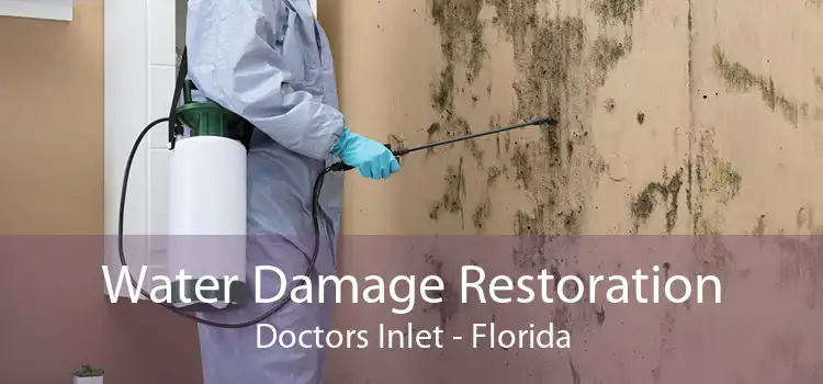 Water Damage Restoration Doctors Inlet - Florida