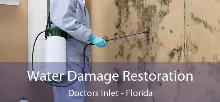 Water Damage Restoration Doctors Inlet - Florida