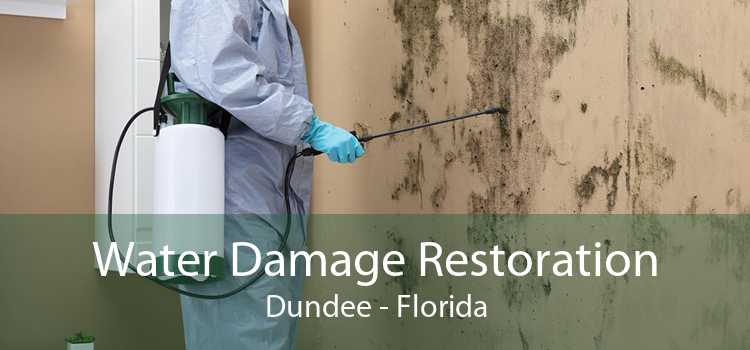 Water Damage Restoration Dundee - Florida