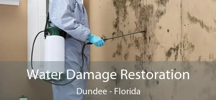 Water Damage Restoration Dundee - Florida