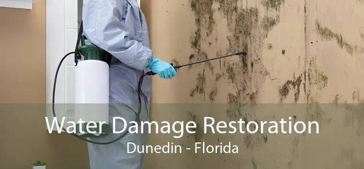 Water Damage Restoration Dunedin - Florida