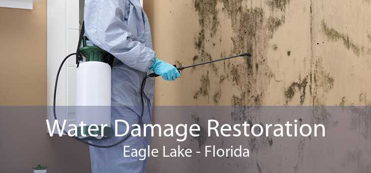Water Damage Restoration Eagle Lake - Florida