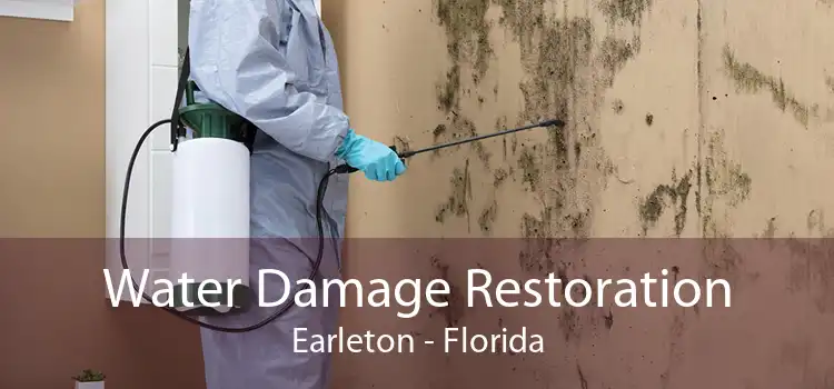 Water Damage Restoration Earleton - Florida