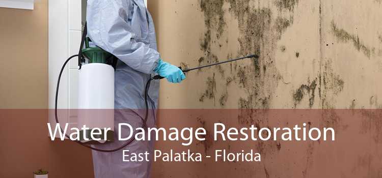 Water Damage Restoration East Palatka - Florida