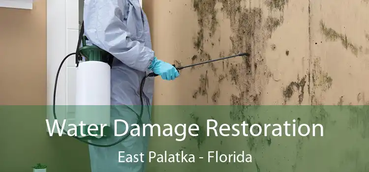 Water Damage Restoration East Palatka - Florida