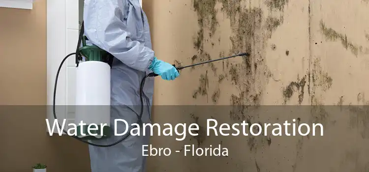 Water Damage Restoration Ebro - Florida