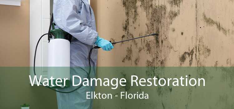 Water Damage Restoration Elkton - Florida