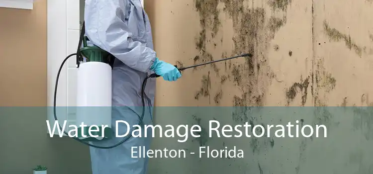Water Damage Restoration Ellenton - Florida