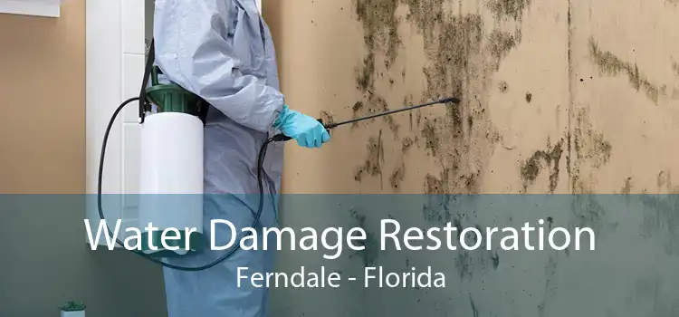Water Damage Restoration Ferndale - Florida
