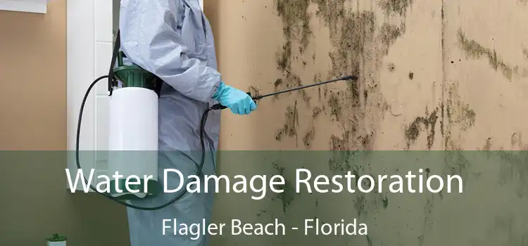 Water Damage Restoration Flagler Beach - Florida