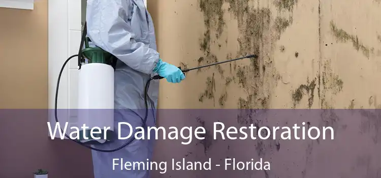 Water Damage Restoration Fleming Island - Florida