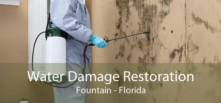 Water Damage Restoration Fountain - Florida