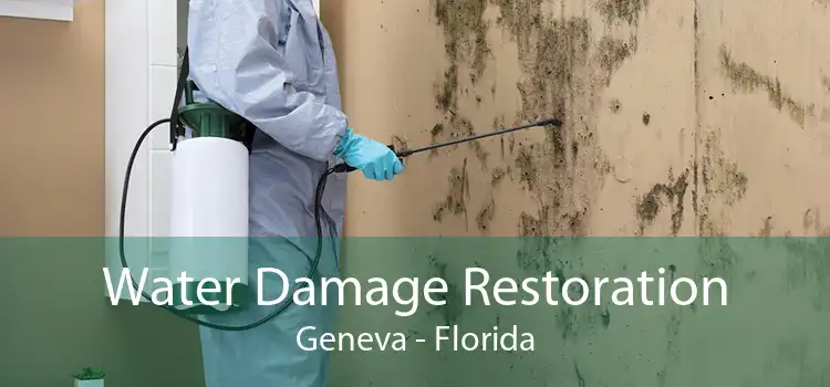 Water Damage Restoration Geneva - Florida