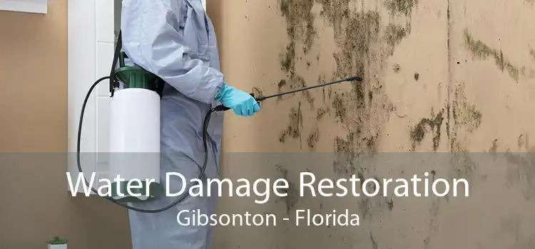 Water Damage Restoration Gibsonton - Florida