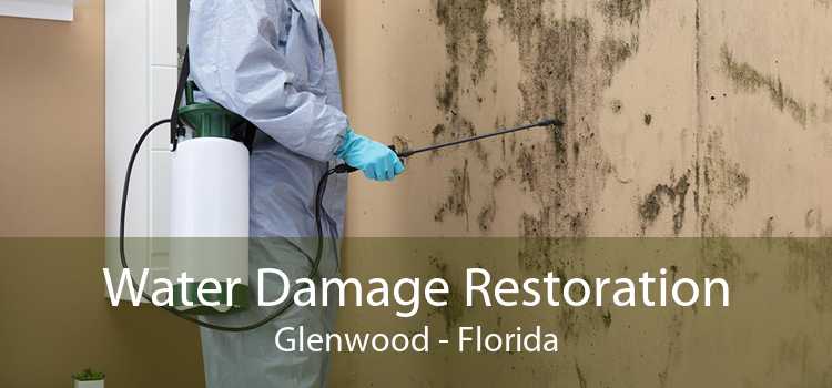 Water Damage Restoration Glenwood - Florida