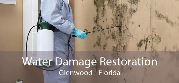 Water Damage Restoration Glenwood - Florida