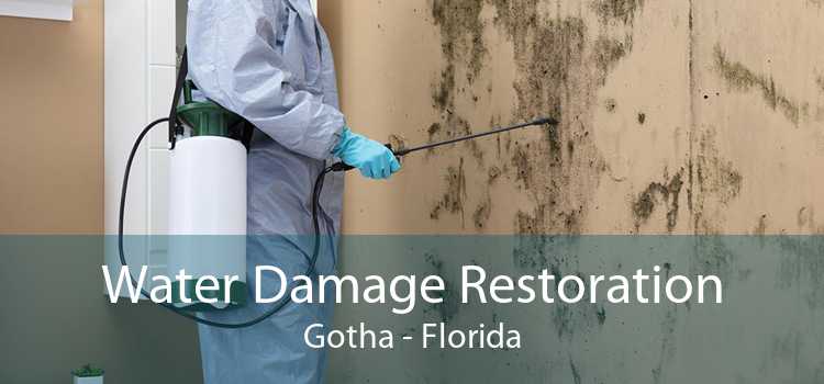 Water Damage Restoration Gotha - Florida