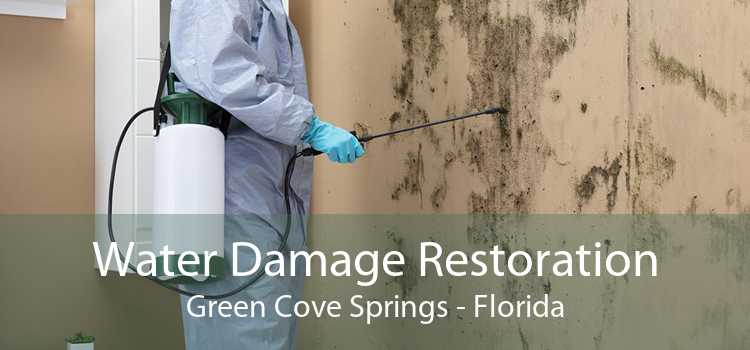 Water Damage Restoration Green Cove Springs - Florida