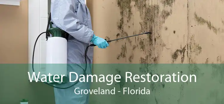 Water Damage Restoration Groveland - Florida
