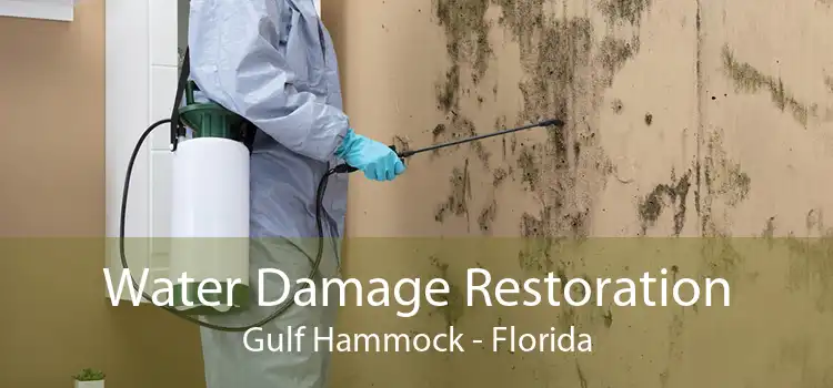 Water Damage Restoration Gulf Hammock - Florida