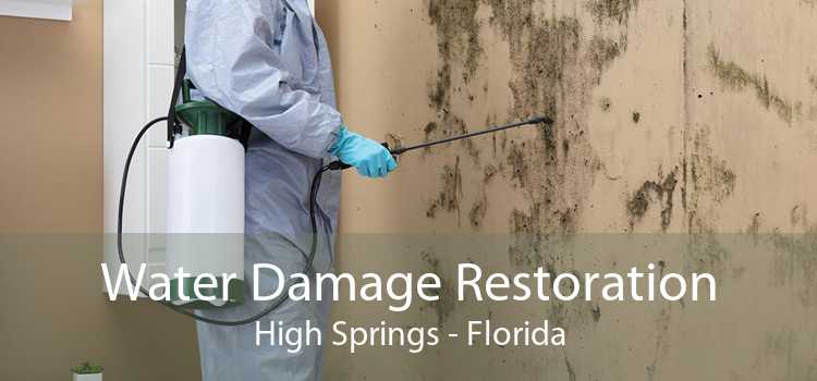 Water Damage Restoration High Springs - Florida