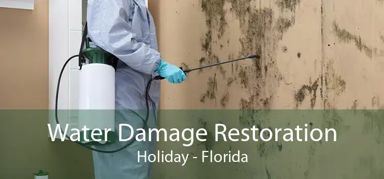 Water Damage Restoration Holiday - Florida