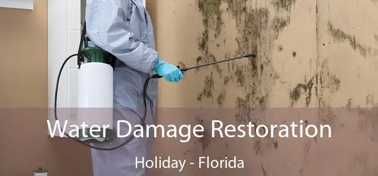 Water Damage Restoration Holiday - Florida