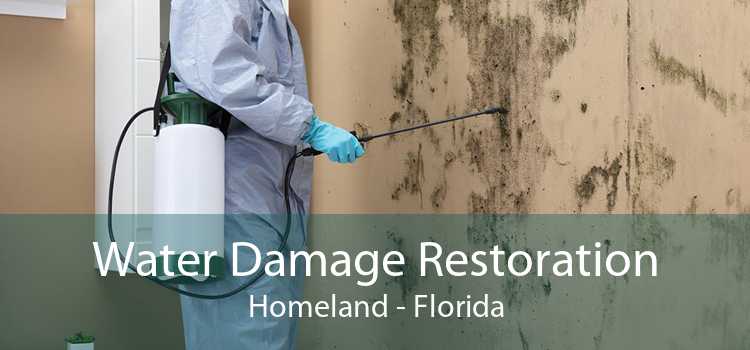 Water Damage Restoration Homeland - Florida